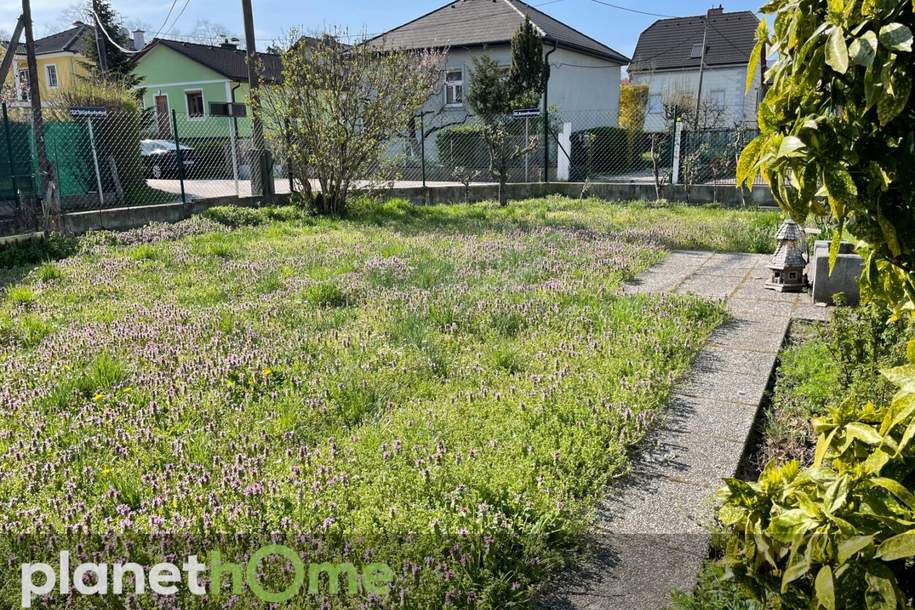 Baugrundstück BK I / 6,0 m / ogk, Grund und Boden-kauf, 478.000,€, 1220 Wien 22., Donaustadt