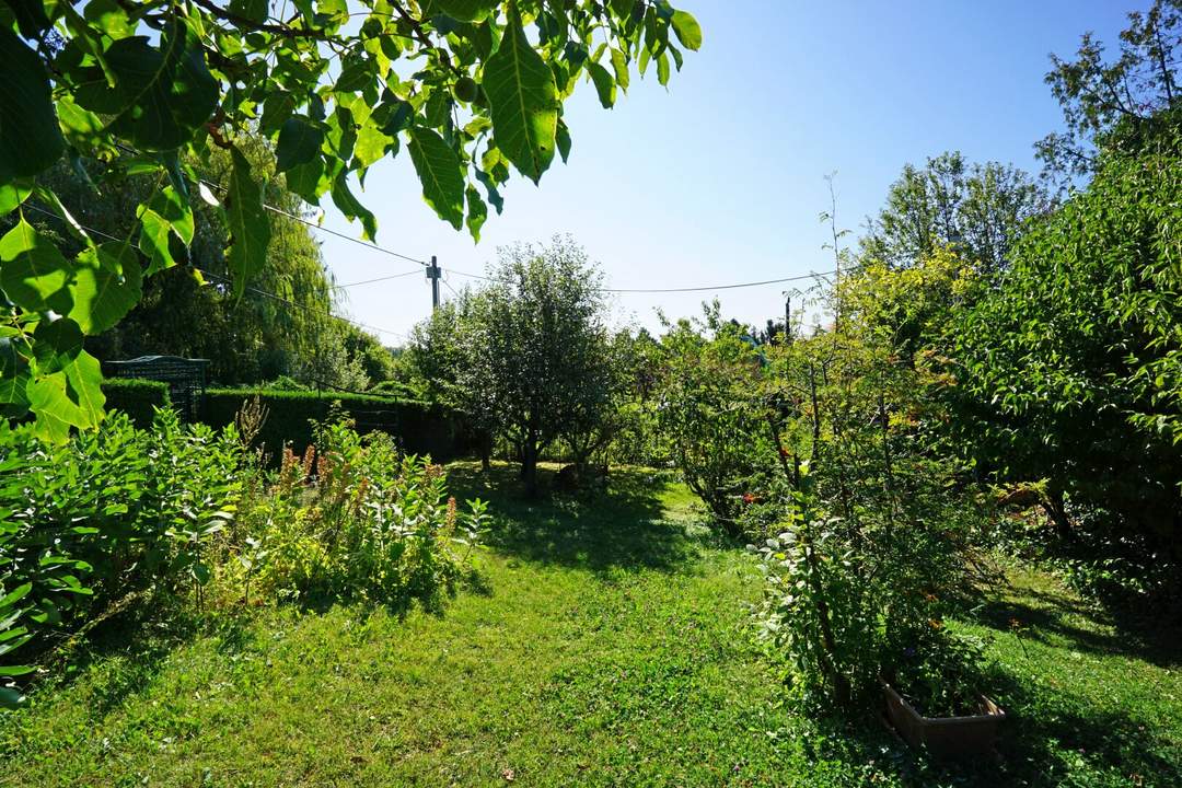 Kleingarten-Parzelle in Hietzing - Ober St. Veit beim Lainzer Tiergarten