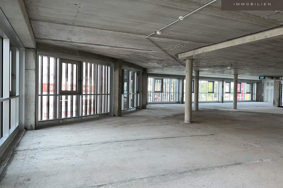 "Herzfelderhof" in Wiener Neudorf - Effiziente Büros von ganz klein bis ganz groß, Gewerbeobjekt-miete, 8.545,68,€, 2351 Mödling