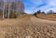 Großzügiges Baugrundstück im Waldviertel – Bauen Sie sich Ihr eigenes Wohnparadies!
