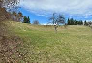 Geräumiges Ein- bzw. Zweifamilienhaus mit Wirtschaftsgebäude