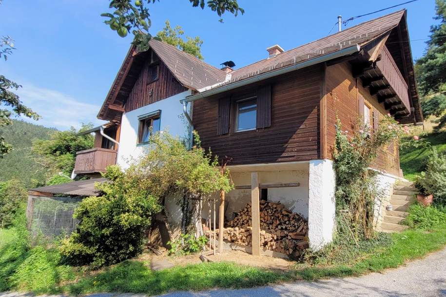 Alleinlage / Aussichtslage in Bärnbach: Landhaus + Einfamilienhaus + NG, 1.9 ha Wiese, 6.8 ha Wald, Gewerbeobjekt-kauf, 390.000,€, 8572 Voitsberg