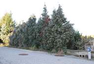 "Baugrund in Sackgasse!"