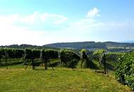 Ausgebautes Kellerstöckl mit Weingarten in absoluter ruhigen Aussichtslage und Fernblick