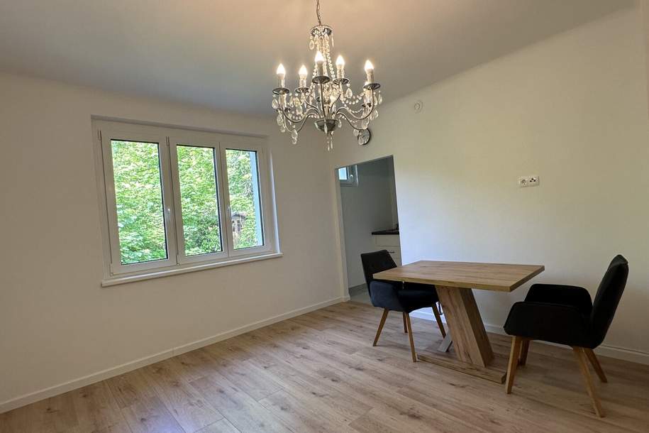 Renovierte 1-Zimmer-Wohnung in Mödlings Bestlage, Wohnung-kauf, 169.000,€, 2340 Mödling