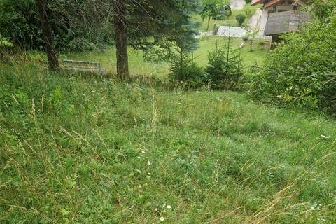 Ihre Liegenschaft mit soviel Wald! Errichten Sie hier Ihr Traumhaus!, Haus-kauf, 229.000,€, 2630 Neunkirchen