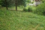 Ihre Liegenschaft mit soviel Wald! Errichten Sie hier Ihr Traumhaus!