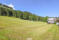 Atemberaubendes Panorama. Exklusives Baugrundstück mit unverbauten Blick auf das Dachsteinmassiv!