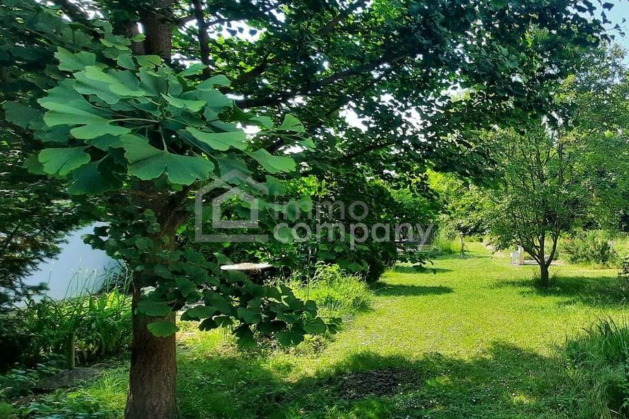 Traumhaftes Eigenheim-Grundstück im Speckgürtel von Wien, Grund und Boden-kauf, 270.000,€, 2486 Baden