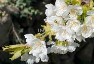 Landhaus mit Charme - Rückzugsort im Grünen