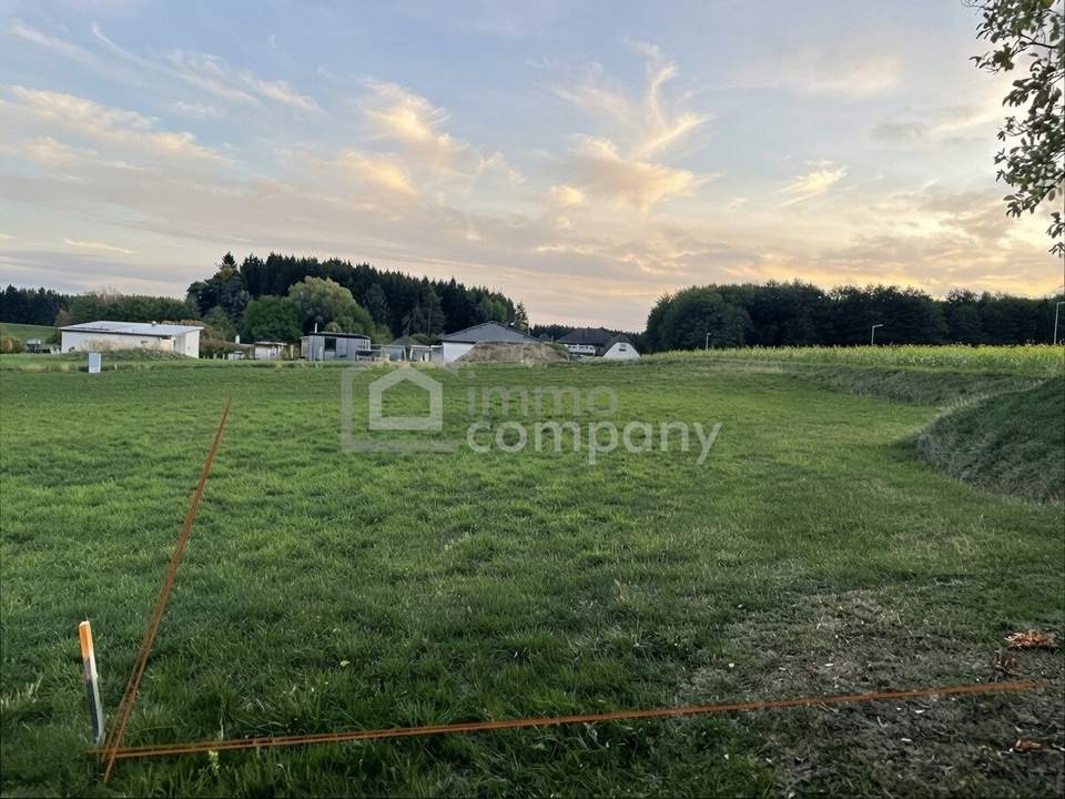 Wohnen im Grünen: 789 m² Baugrund in Pallweis - nur 33 €/m²!