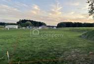 Wohnen im Grünen: 789 m² Baugrund in Pallweis - nur 33 €/m²!
