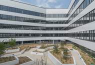 TWENTYONE- REALISE YOUR VISION- CENTRAL HUB