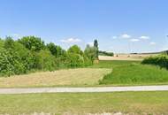 Ihr Traum vom Eigenheim: Sonniger Baugrund Nähe Wien in 2124 Oberkreuzstetten/Weinviertel