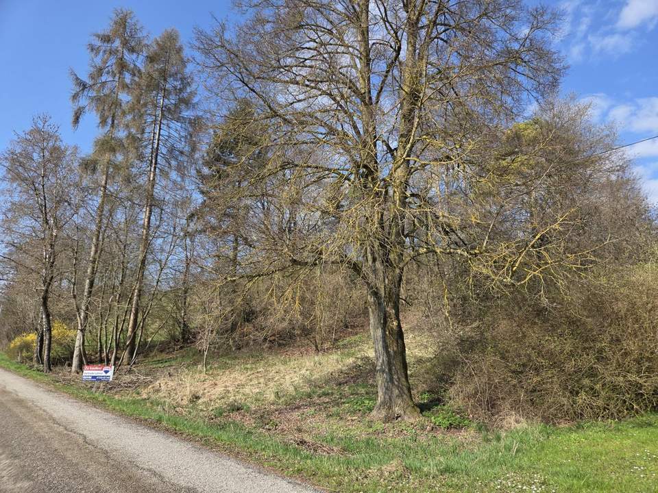 1.531 m² großes Aussichts-Hang-Baugrundstück aufgeschlossen, OHNE Bauzwang und OHNE Bebauungsplan!