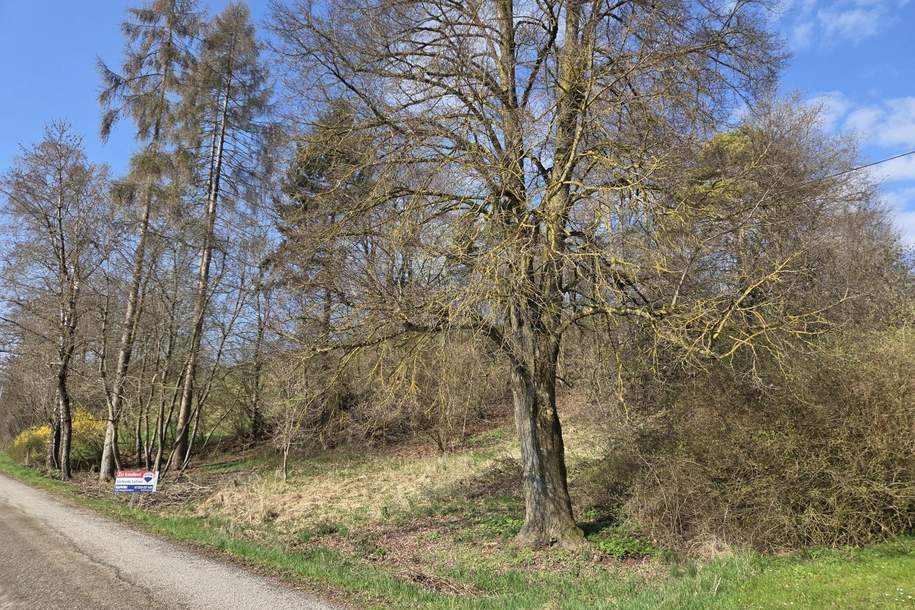 1.531 m² großes Aussichts-Hang-Baugrundstück aufgeschlossen, OHNE Bauzwang und OHNE Bebauungsplan!, Grund und Boden-kauf, 240.367,€, 4522 Steyr-Land