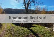 Altbestand mit Potenzial in Kranach, Gemeinde Gamlitz