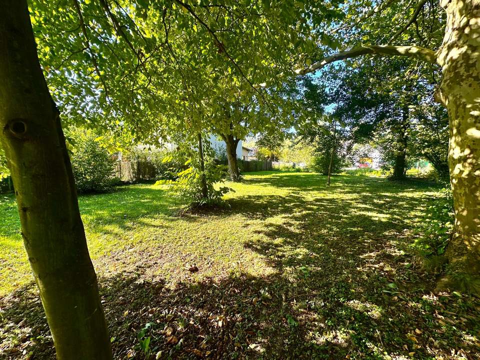 Sonniges Baugrundstück im Ortsgebiet Lanzendorf bei Mistelbach!
