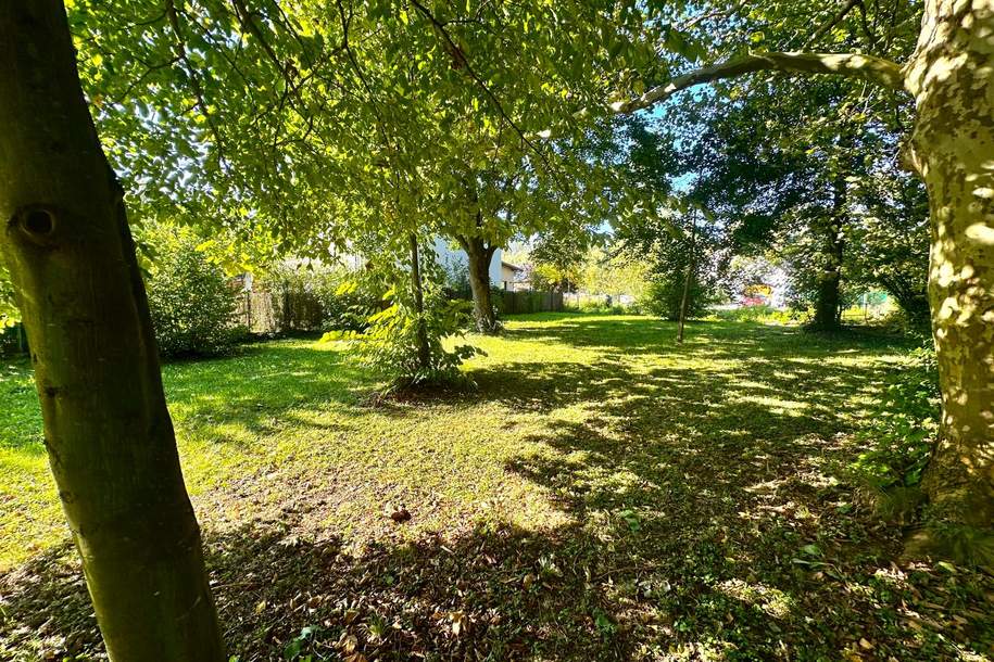 Sonniges Baugrundstück im Ortsgebiet Lanzendorf bei Mistelbach!, Grund und Boden-kauf, 269.000,€, 2130 Mistelbach