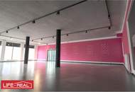 großes Büro/Ausstellungsfläche in zentraler Lage