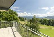 Blick zum Attersee
