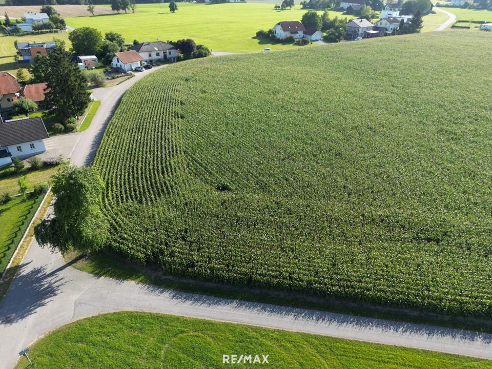 Top Grundstücke in Breitenried