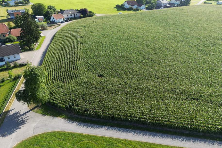 Top Grundstücke in Breitenried, Grund und Boden-kauf, 52.000,€, 4753 Ried im Innkreis