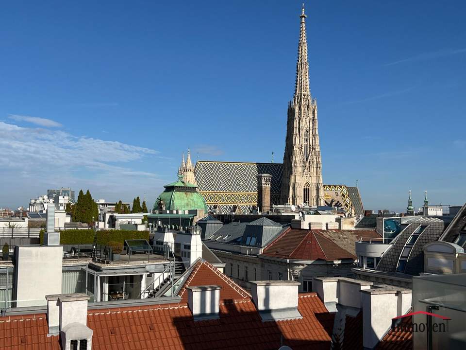 Moderne Dachgeschosswohnung (Maisonette) mit großer Dachterrasse und einzigartigem Ausblick auf den Stephansplatz