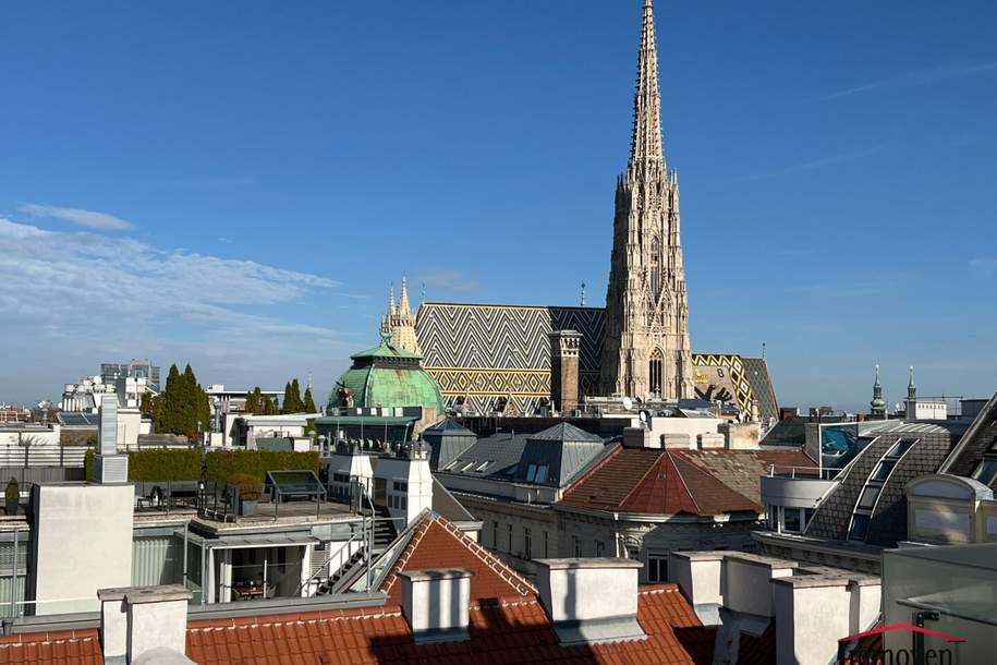 Moderne Dachgeschosswohnung (Maisonette) mit großer Dachterrasse und einzigartigem Ausblick auf den Stephansplatz, Wohnung-miete, 6.790,00,€, 1010 Wien 1., Innere Stadt