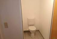 FAMILIENHIT AM WALDMÜLLERPARK!