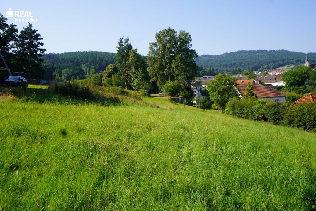 Traumhaftes Baugrundstück Nähe Weitra: 1.007 m² warten auf Sie