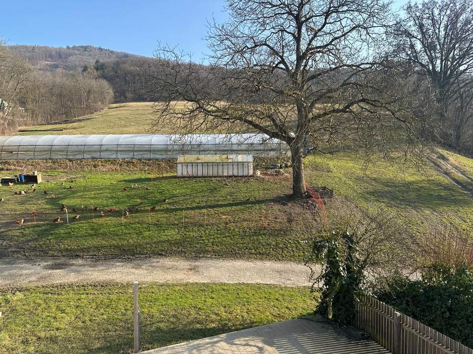 ***Gemütlich wohnen! DG-Wohnung mit Terrasse im Garten - Nahe Pleschingersee***