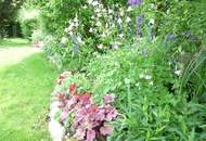 Sonniges und Idyllisches Haus am Bach!
