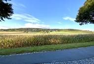 1953m² Grundstücksfläche - direkt am Bisamberg - Stadtvilla mit parkartigen Garten - privat Zugang zum Wald - Grünblick - Ruhelage