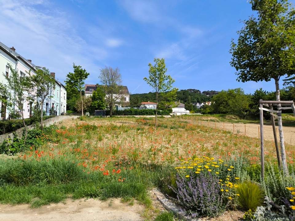 Baugrund in bester Lage mitten in Eisenstadt (Oberberg) – 729 qm (GST 3474/2, KG 30008) (Provisionsfrei)