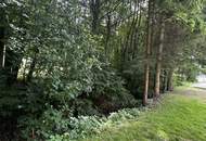 Erstbezug in Mauerbach