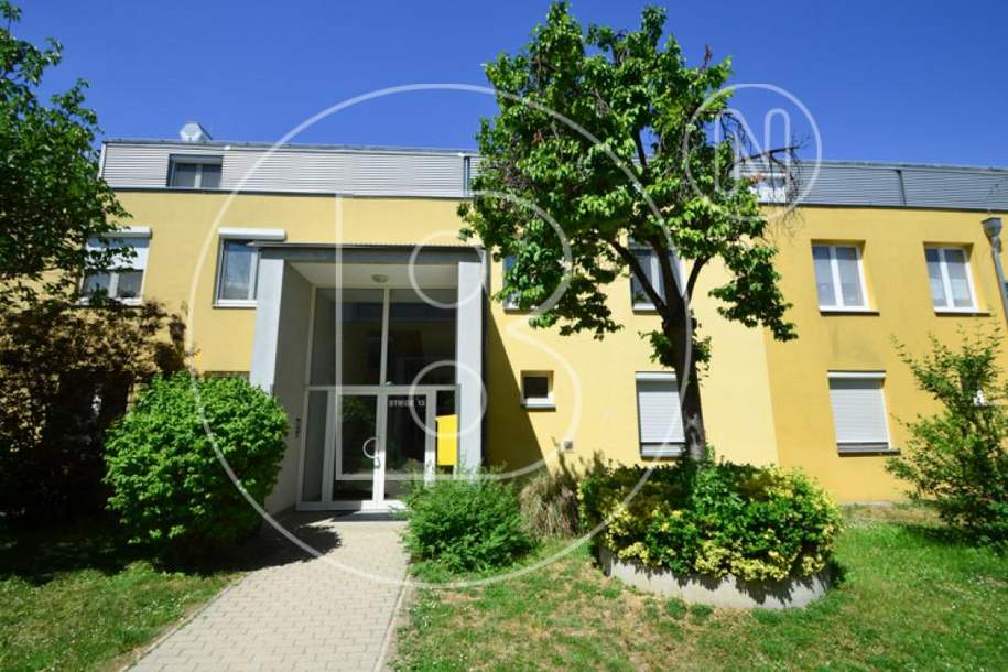 3-Zimmer-Gartenwohnung in Grünruhelage!, Wohnung-kauf, 499.000,€, 1220 Wien 22., Donaustadt