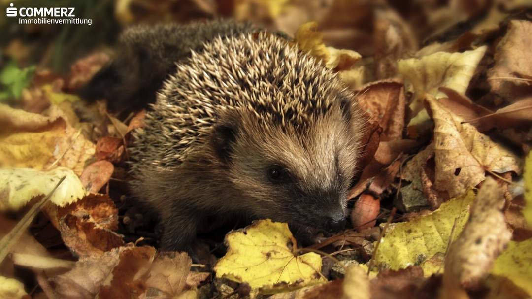 Gartenmomente genießen