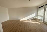 Helle renovierte 1-Zimmer-Wohnung mit Whirlpool & Loggia