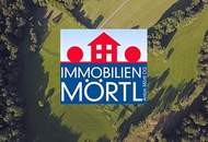 10 ha Grünland und Forstwirtschaftsflächen in Feichsen