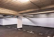 Sonnige 4 Zi Gartenwohnung in Ruhelage (S-Bahn Liesing Nähe) mit Garage