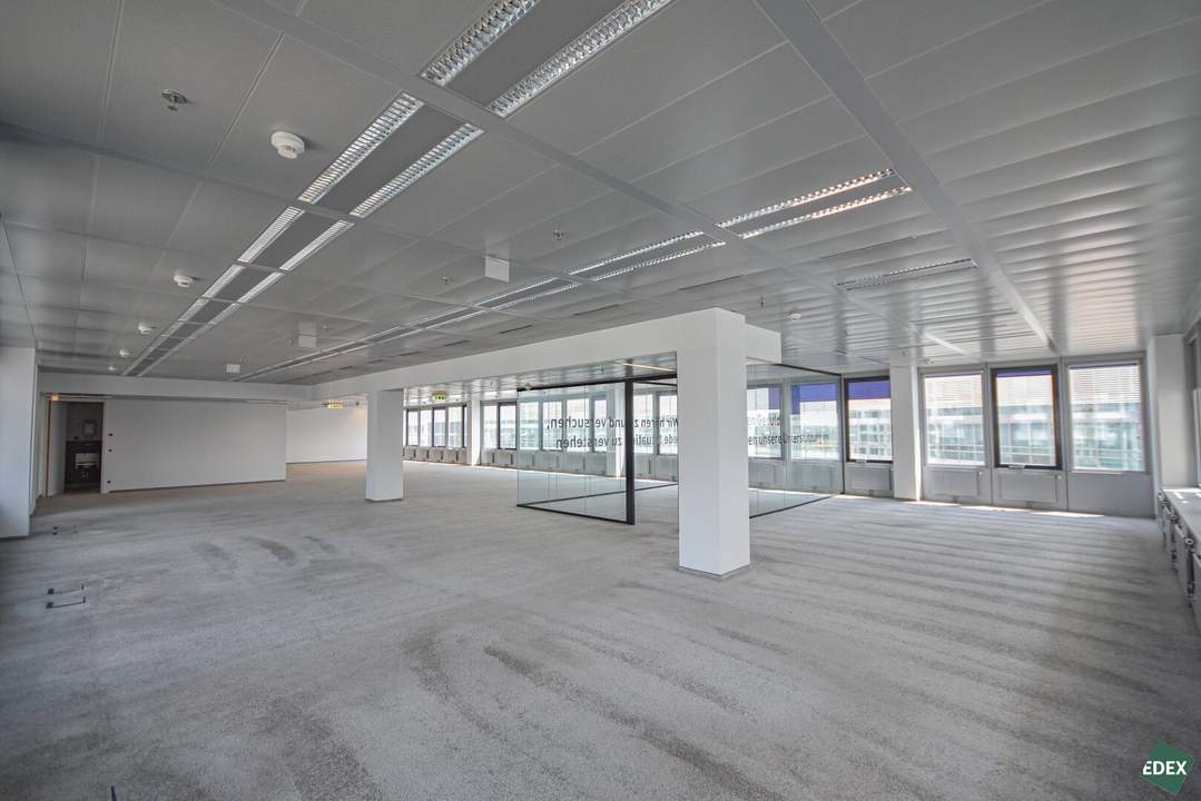 Modernes Arbeiten im Ares Tower!