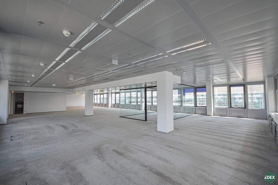 Modernes Arbeiten im Ares Tower!, Gewerbeobjekt-miete, 2.668,80,€, 1220 Wien 22., Donaustadt