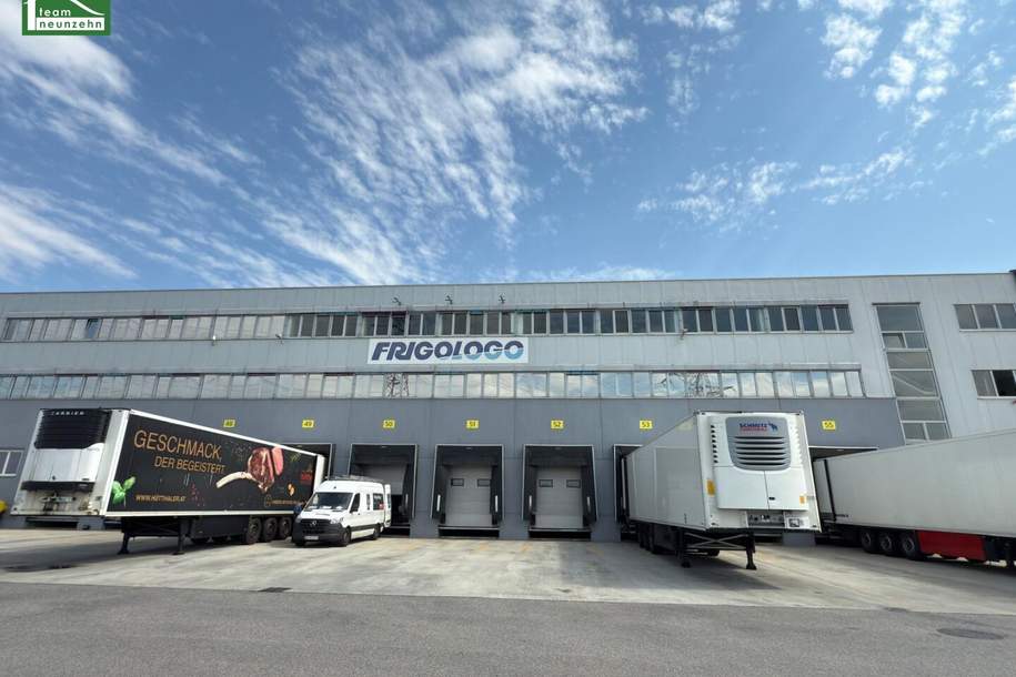 Hochwertige Gewerbefläche mit 15 Parkplätzen in 2326 Maria Lanzendorf – Industriestraße: ab sofort verfügbar!, Gewerbeobjekt-miete, 9.938,60,€, 2326 Bruck an der Leitha