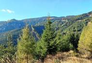 Forst und Jagdgebiet im Bezirk Wolfsberg