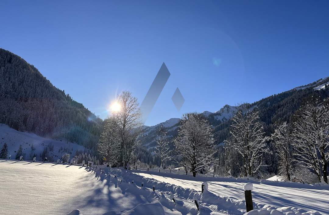 Chalet in idyllischer Ruhe- und Aussichtslage nahe der Skipiste