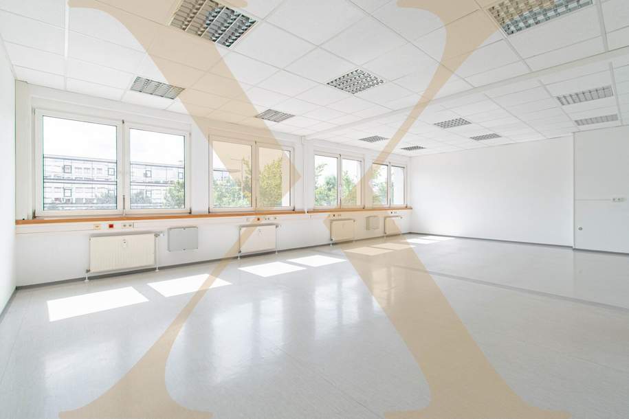 Start-Up Bürofläche mit idealer Verkehrsanbindung im GTZ Wels zu vermieten!, Gewerbeobjekt-miete, 736,06,€, 4600 Wels(Stadt)