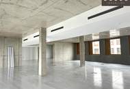 | INDUSTRIE STYLE | FABRIK 1230 | Büro-/Ordinations-/Geschäftsflächen