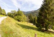 Ankommen und Ausspannen auf 950 m² Naturglück