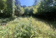 "Rarität in Mauerbach"